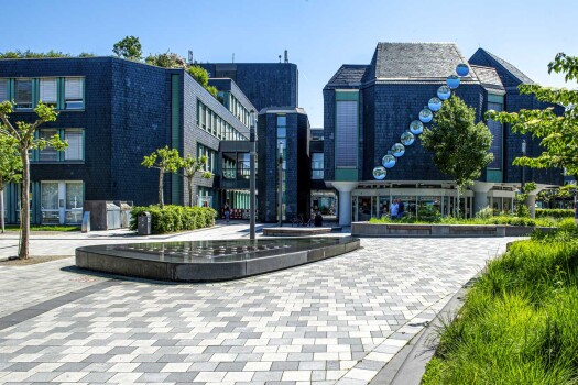Langenfeld (D), Town Hall Square, Boulevard blasted in Quartz grey, Silver grey and Titan grey with water table.