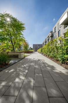 Boulevard Platte 2451 006