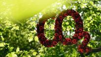 Ecoterra Zero | Video