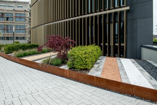 Cologne (D), Eltzsche Administration, Clubs Grey.