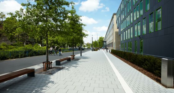 LaLinia Pflaster Uni Koeln 2155 9588