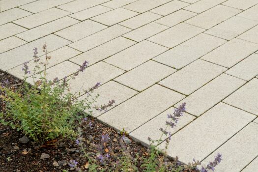 Essen (D), Butterfly garden, Corio EcoTerra Beige.