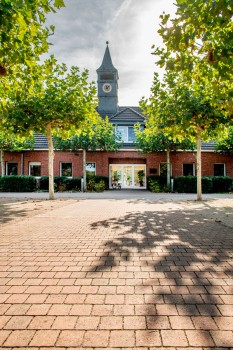 Langenfeld (D), Landes- Reit- und Fahrschule, Terra-brown iridescent.